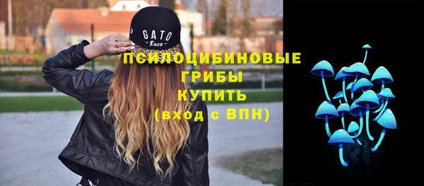 спиды Абаза