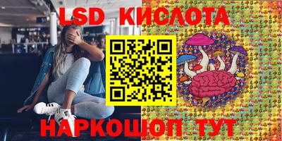 гашик Краснодар