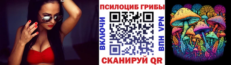 KRAKEN зеркало  darknet клад  Звенигород  Галлюциногенные грибы прущие грибы  наркошоп 