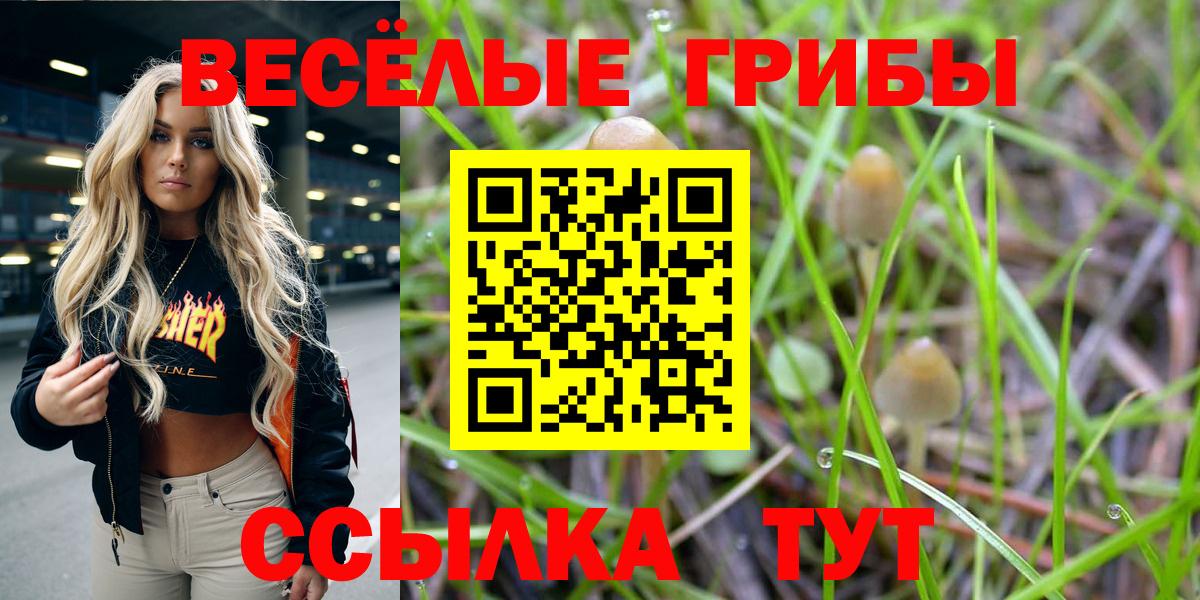 Звенигород  купить наркотик  Вход с VPN  Галлюциногенные грибы прущие грибы 