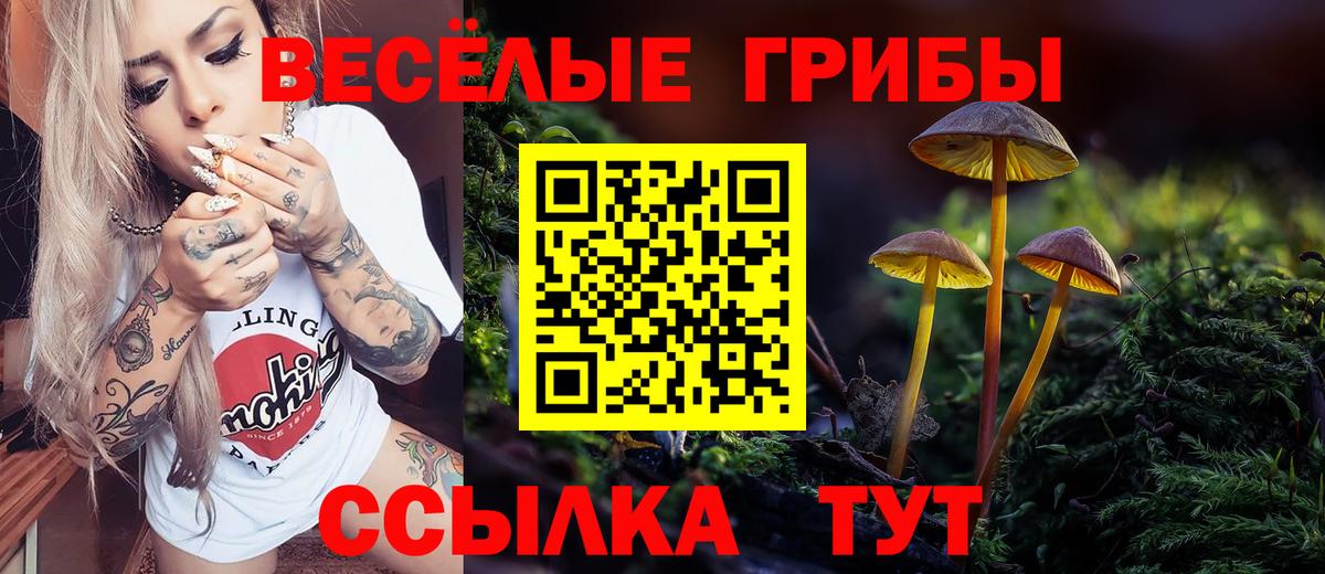 Псилоцибиновые грибы Psilocybe Звенигород