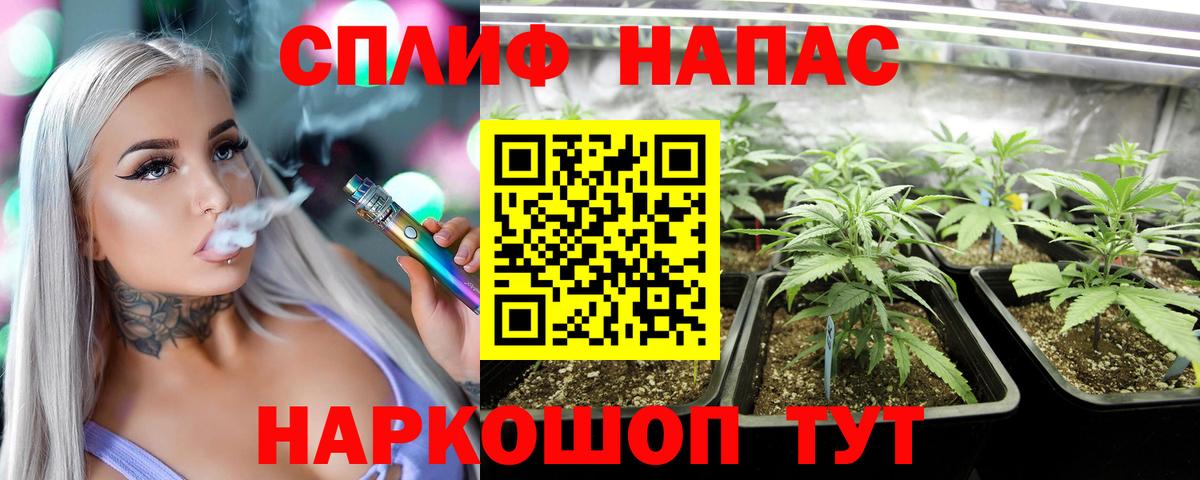 Конопля Bruce Banner  Вход с VPN  Звенигород  Шишки марихуана план  Канабис Amnesia 